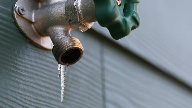 Best Sewer Line Repair  in Forks, WA